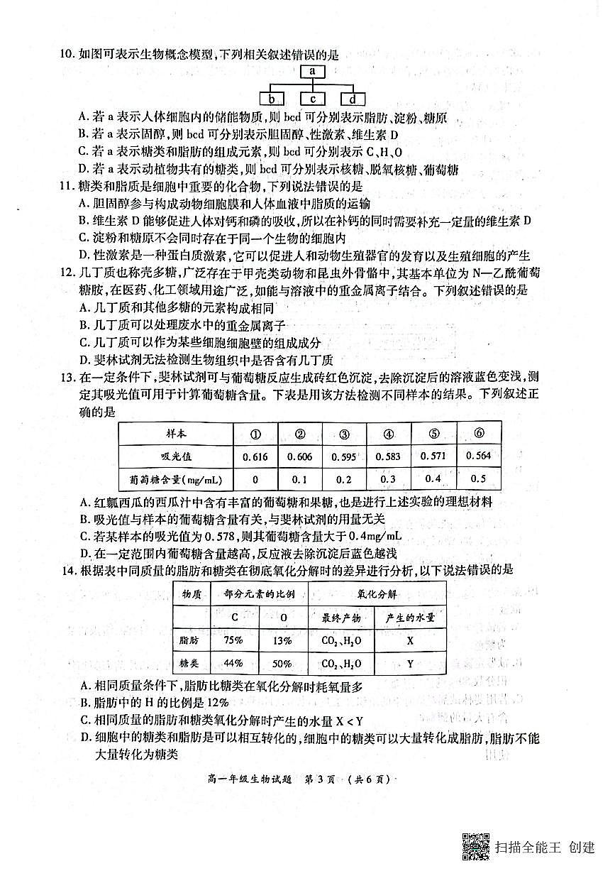 河南省南阳市六校2024-2025学年高一上学期10月第一次联考生物试题第3页