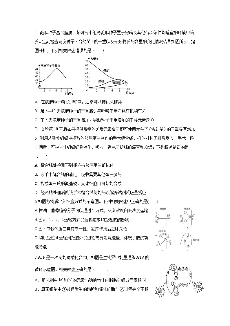社旗县宛东实验高级中学2024年9月高三生物自命题考试试题第2页