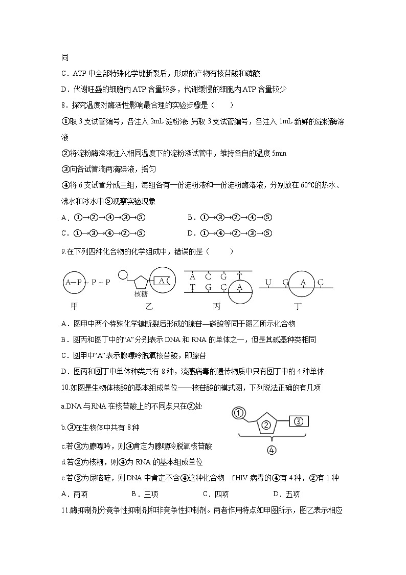 社旗县宛东实验高级中学2024年9月高三生物自命题考试试题第3页