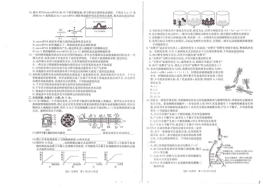 安徽省阜阳市2024-2025学年高一下学期7月期末考试生物试卷+答案第2页