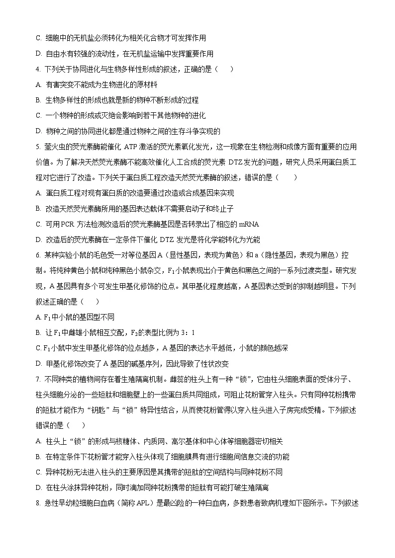 精品解析：天津市滨海新区塘沽第一中学2024-2025学年高三上学期第二次月考生物试题（原卷版）第2页