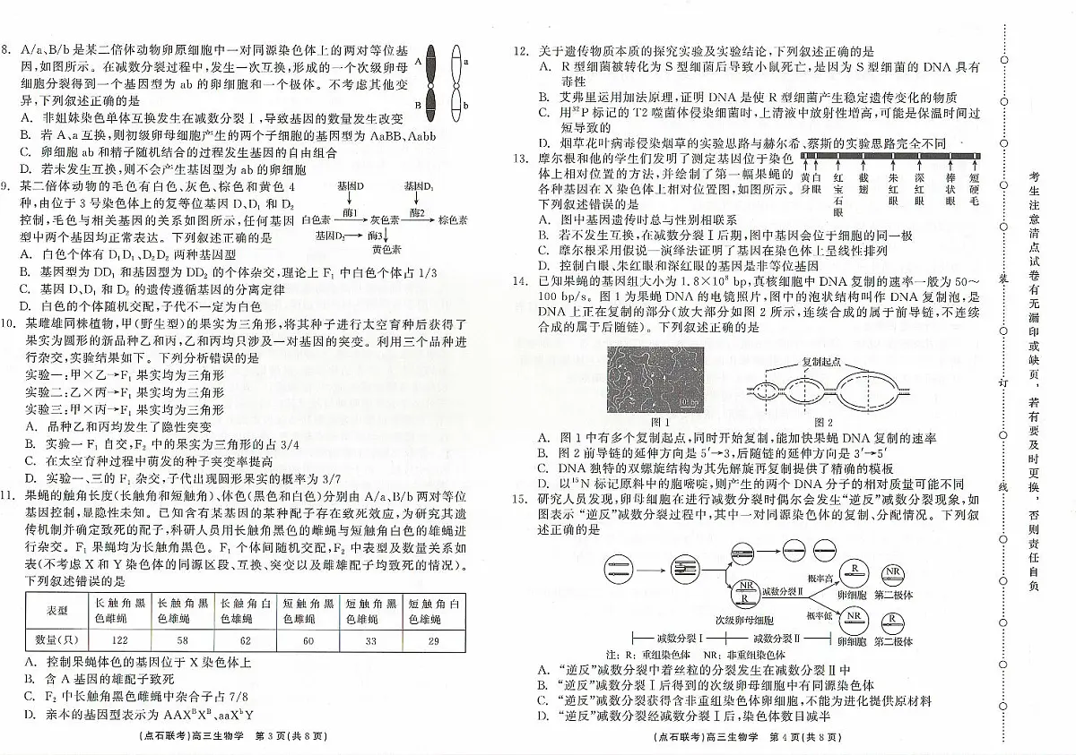 辽宁省点石联考2024-2025学年度上学期高三年级10月阶段考试生物试题+答案第2页
