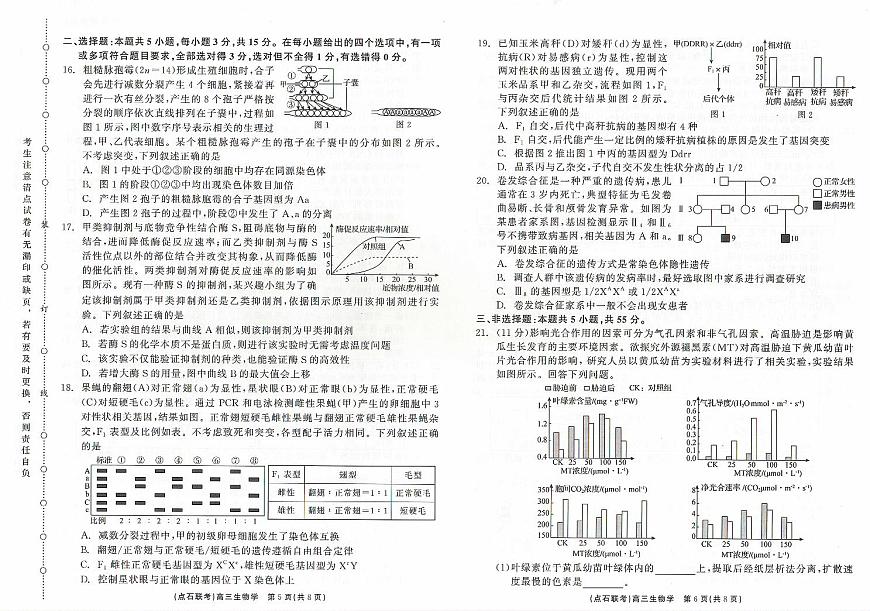辽宁省点石联考2024-2025学年度上学期高三年级10月阶段考试生物试题+答案第3页