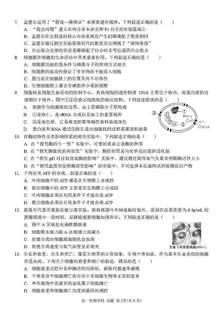 浙江省台州市山海协作体2024-2025学年高一下学期4月期中联考生物试卷+答案第2页