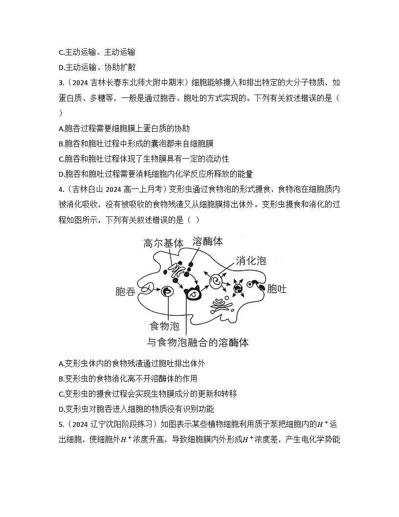4.2主动运输与胞吞、胞吐-同步练习 2025—2026学年高一上学期生物人教版必修1第2页