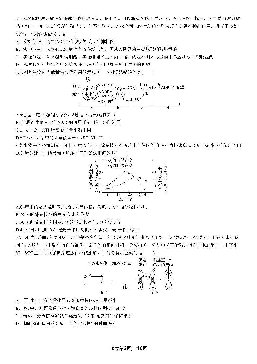 成都市第七中学2025-2026学年高三上学期8月入学考试生物试卷+答案第2页