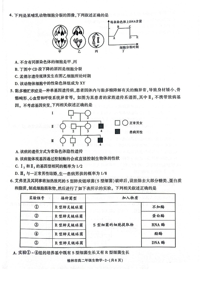 陕西省榆林市2024-2025学年高二下学期期末考试 生物试卷第2页