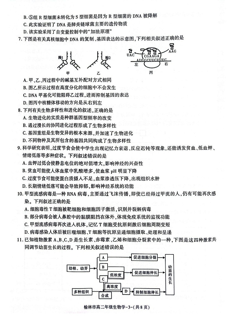 陕西省榆林市2024-2025学年高二下学期期末考试 生物试卷第3页
