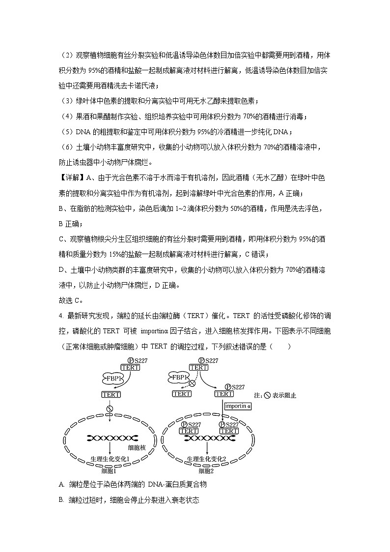2025-2026学年河北省衡水市冀州区高三上学期开学测试生物试题（附答案解析）第3页