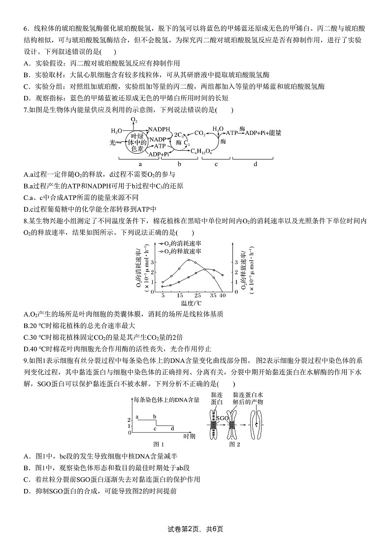 成都市第七中学2025-2026学年高三上学期8月入学考试生物试卷第2页