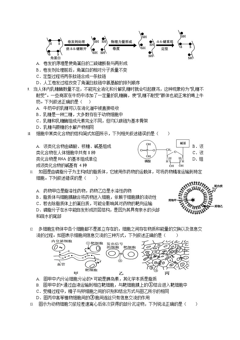 福建省龙岩市连城县第一中学2025-2026学年高一上学期开学考试生物试卷第2页