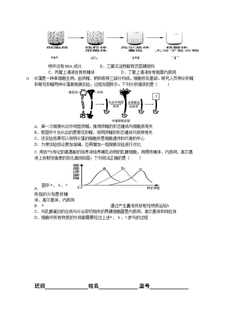 福建省龙岩市连城县第一中学2025-2026学年高一上学期开学考试生物试卷第3页
