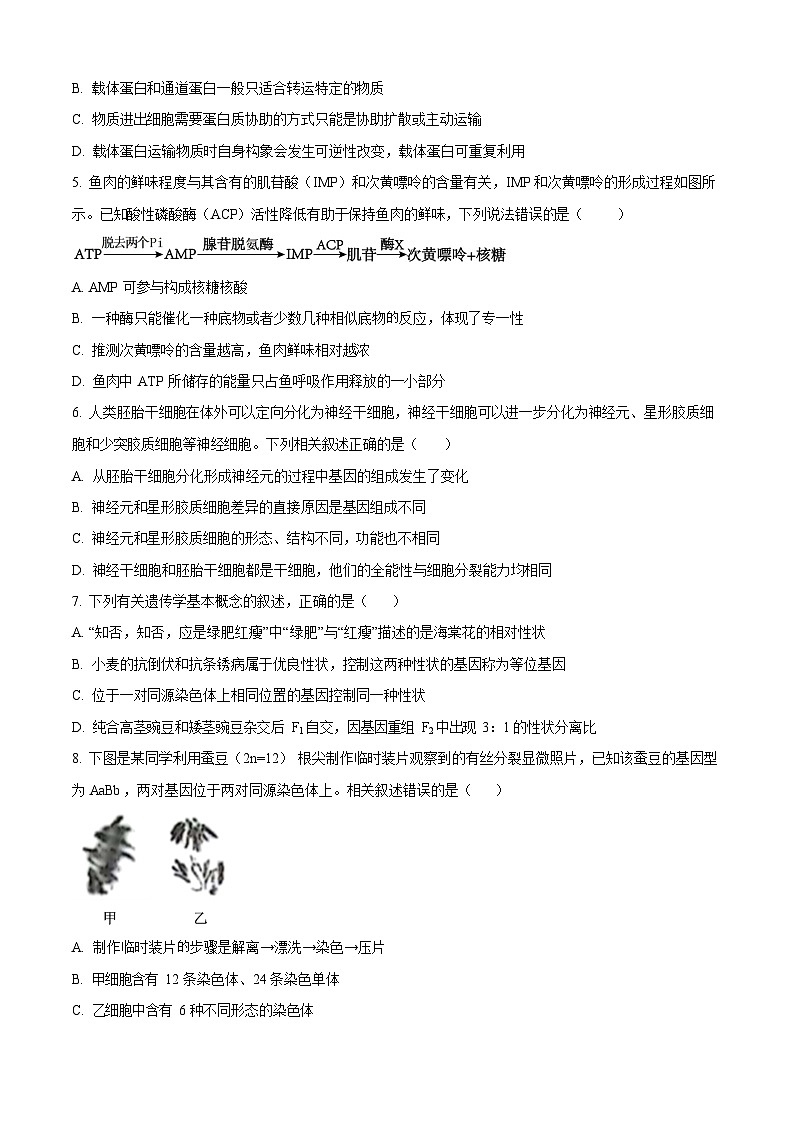山西省太原市太原师范学院附属中学2025-2026学年高二上学期开学分班考试生物试卷第2页