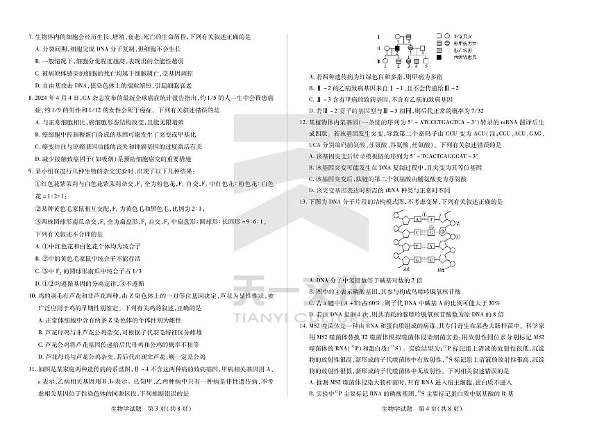 天一大联考河南省2024-2025高一年级下学期期末教学质量监测生物试卷第2页