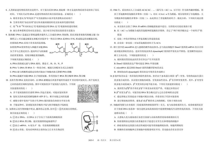 四川省成都市树德中学2024-2025学年高一下学期5月月考试题生物试卷+答案第2页