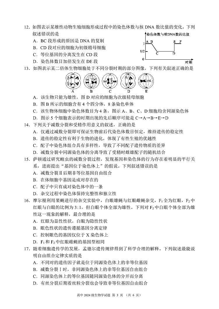 四川省成都市蓉城名校联盟2024-2025学年高一下学期期中考试生物试卷+答案第3页