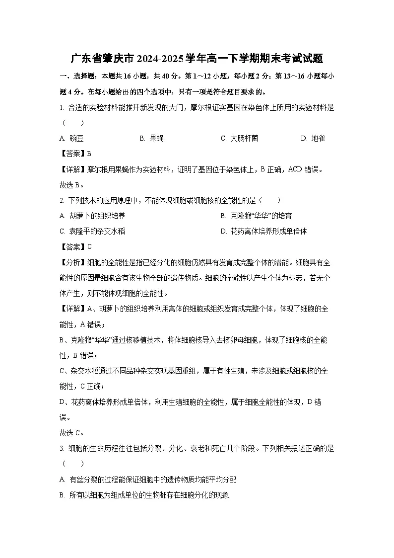 【生物】广东省肇庆市2024-2025学年高一下学期期末考试试题（解析版）第1页