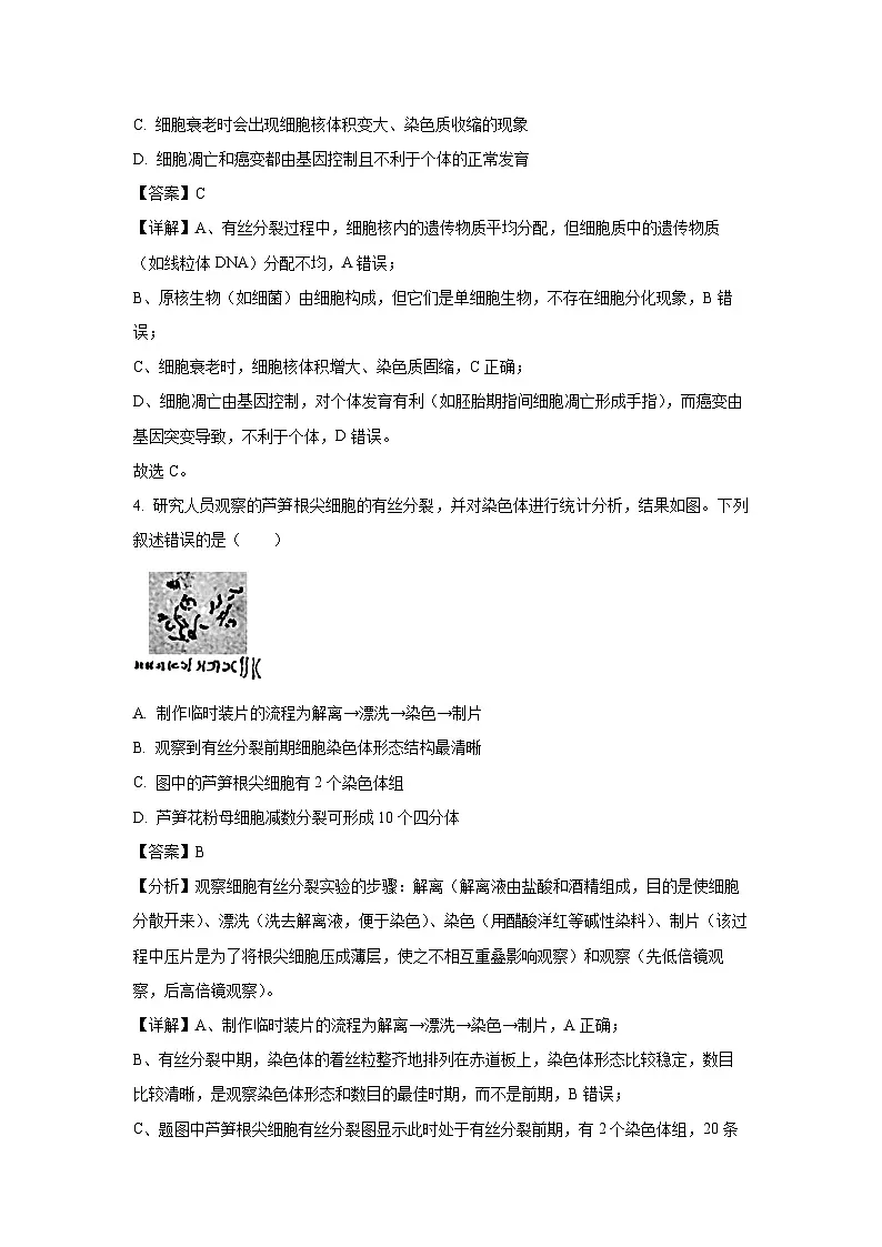 【生物】广东省肇庆市2024-2025学年高一下学期期末考试试题（解析版）第2页