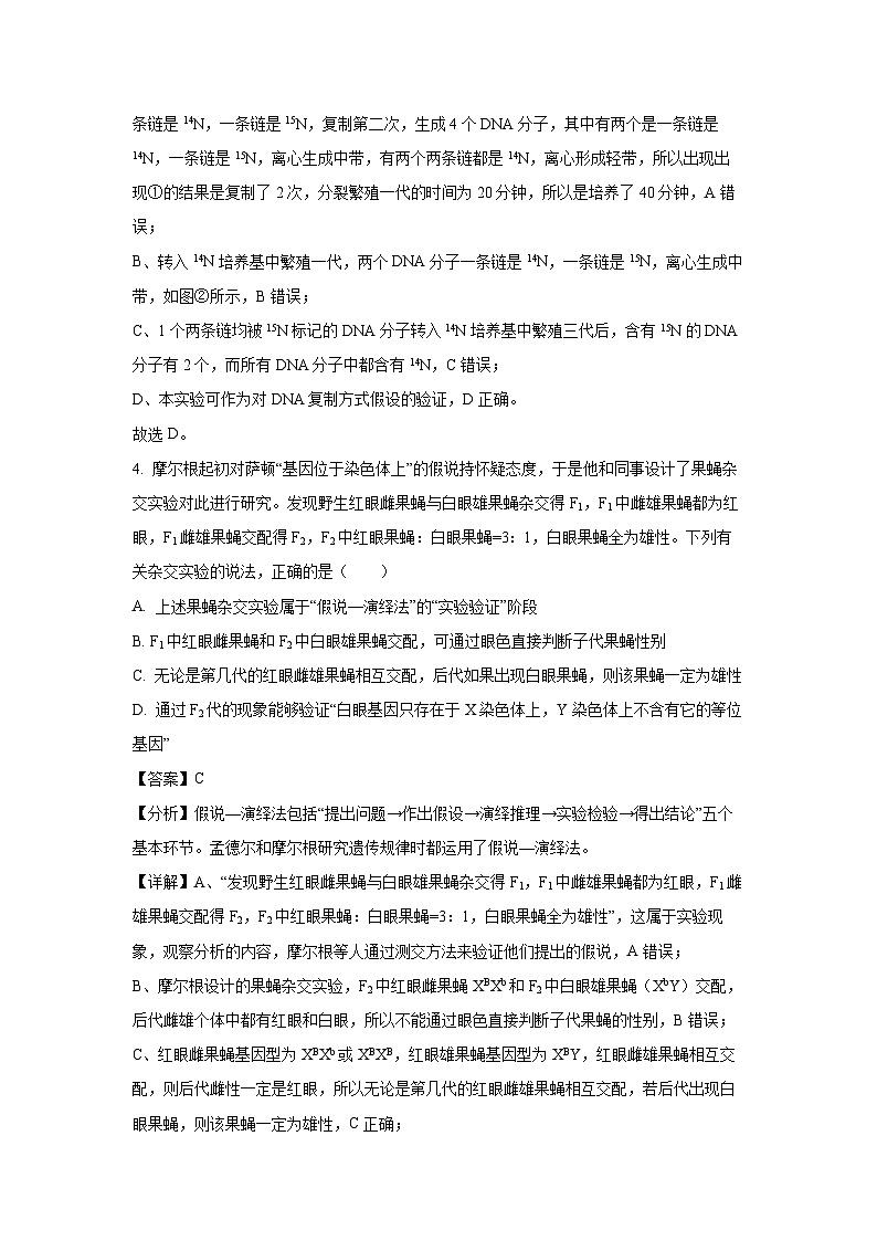 【生物】广东省广州市五校联考2024-2025学年高一下学期7月期末试题（解析版）第3页