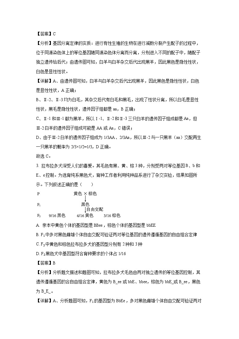 【生物】安徽省智学联考2024-2025学年高一下学期7月期末试题（解析版）第2页