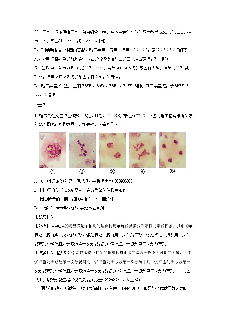 【生物】安徽省智学联考2024-2025学年高一下学期7月期末试题（解析版）第3页