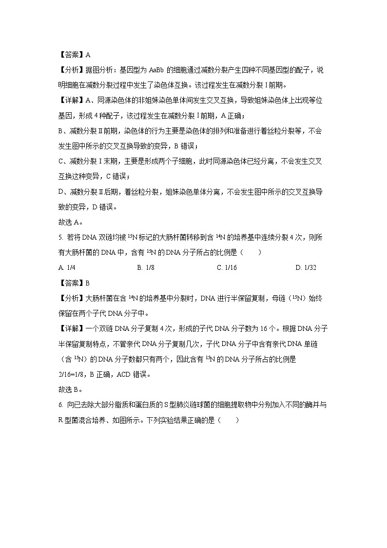 【生物】河南省新乡市2024-2025学年高一下学期7月期末试题（解析版）第3页