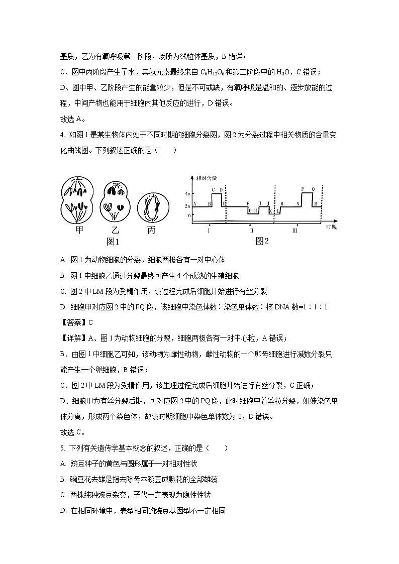 【生物】山西省晋中市部分学校2024-2025学年高一下学期期末考试试题（解析版）第3页