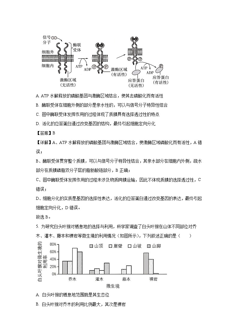 2025-2026学年广西壮族自治区名校联盟联合调研测试生物试题（附答案解析）第3页