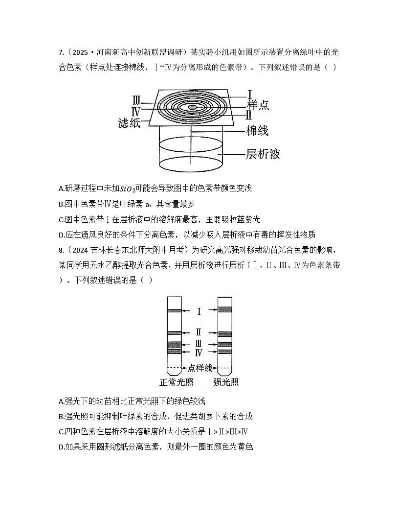 5.4.1捕获光能的色素和结构-同步练习 2025—2026学年高一上学期生物人教版必修1第3页
