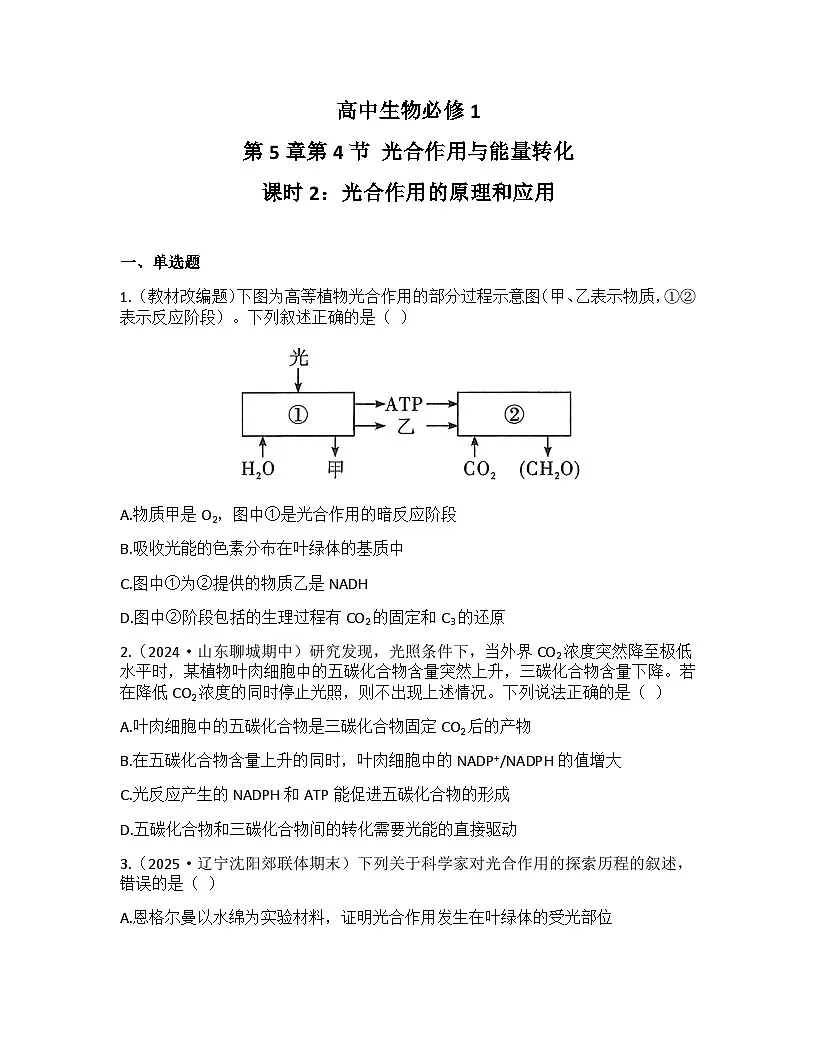 5.4.2光合作用的原理和应用同步练习 2025—2026学年高一上学期生物人教版必修1第1页