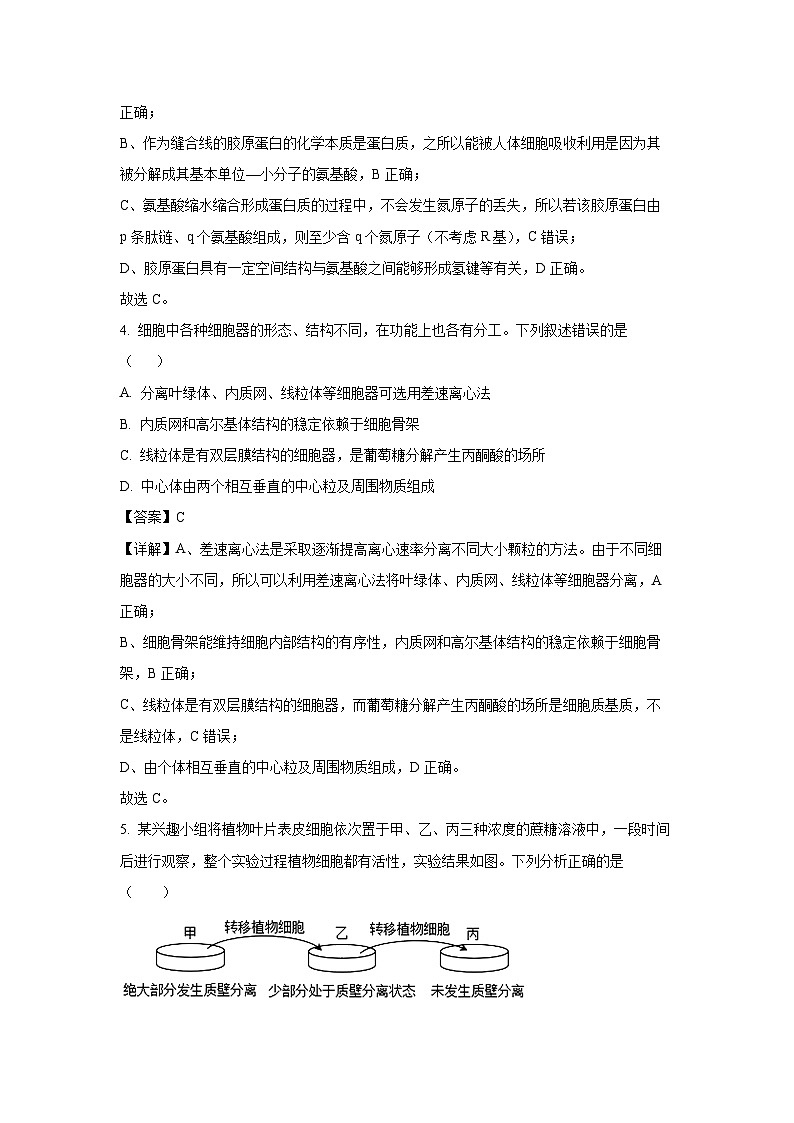 河南省南阳市九师联盟2024-2025学年高二下学期6月期末生物试题（解析版）第3页