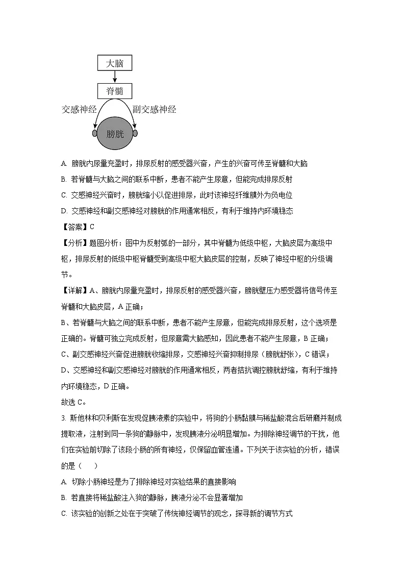 河南省濮阳市2024-2025学年高二下学期期末学业质量监测生物试题（解析版）第2页