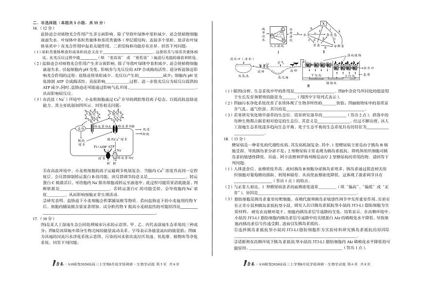 2026届1号卷A10联盟高三上学期8月底学情调研生物测试卷【含答案】第3页