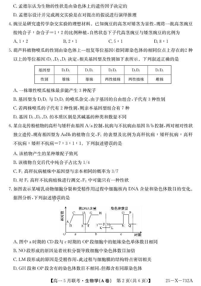 安徽省县中联盟2024-2025学年高一下学期5月联考生物(A卷)+答案第2页