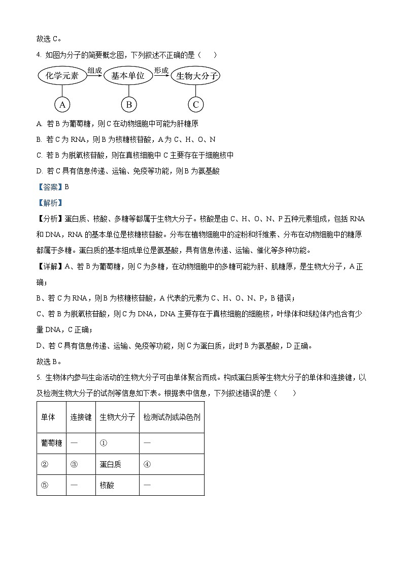 精品解析：广东省惠州市第一中学2024-2025学年高一下学期开学考试生物试题（解析版）第3页