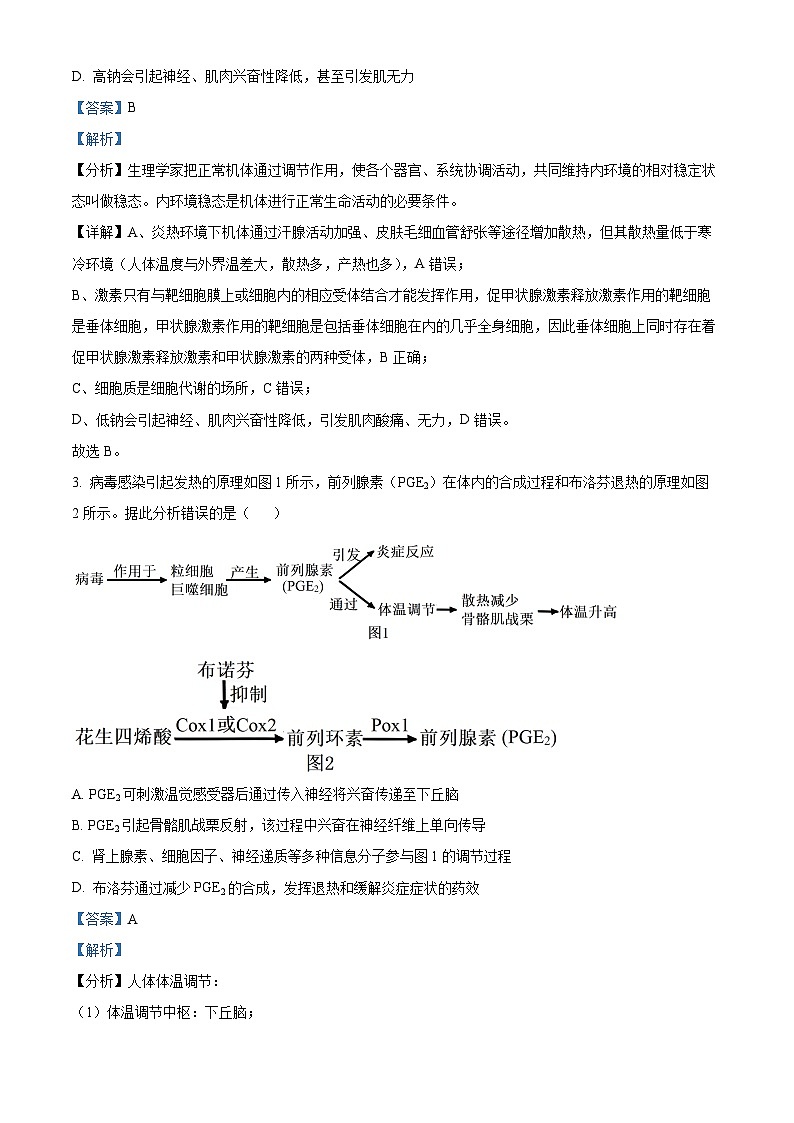 江苏省徐州市鼓楼区徐州市第三中学2024-2025学年高二上学期1月期末生物试题（解析版）第2页