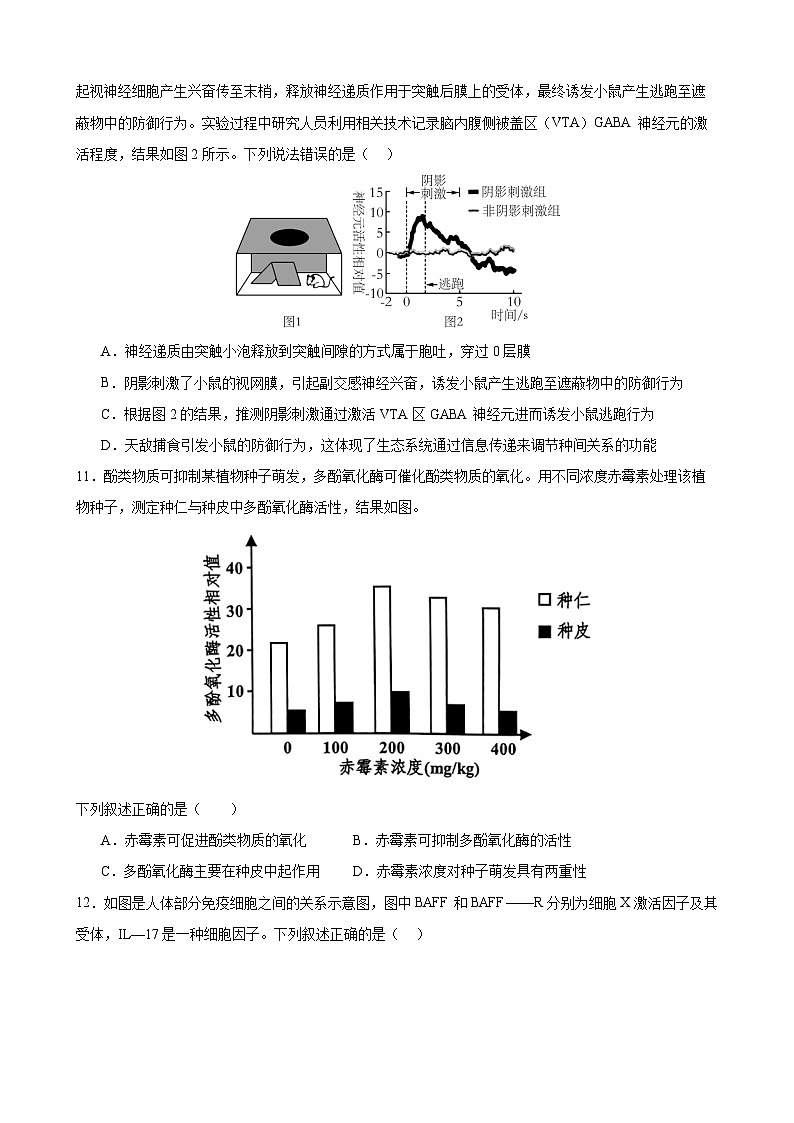 山东省济南市市中区2024-2025学年高二上学期1月期末生物试题第3页