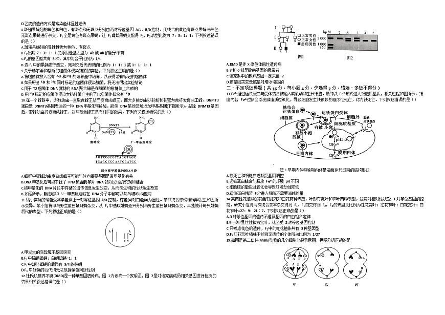 湖南省邵阳市第二中学2025-2026学年高二上学期入学考试生物试卷第2页