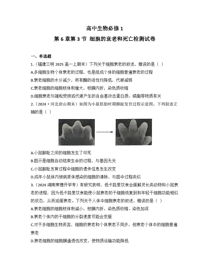 6.3细胞的衰老和死亡-同步练习 2025—2026学年高一上学期生物人教版必修1第1页