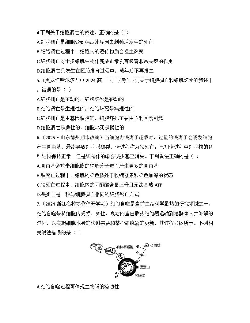 6.3细胞的衰老和死亡-同步练习 2025—2026学年高一上学期生物人教版必修1第2页