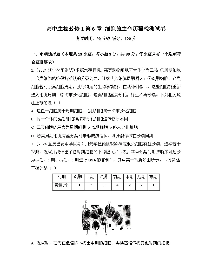 第6章 细胞的生命历程-检测卷 2025—2026学年高一上学期生物人教版必修1第1页