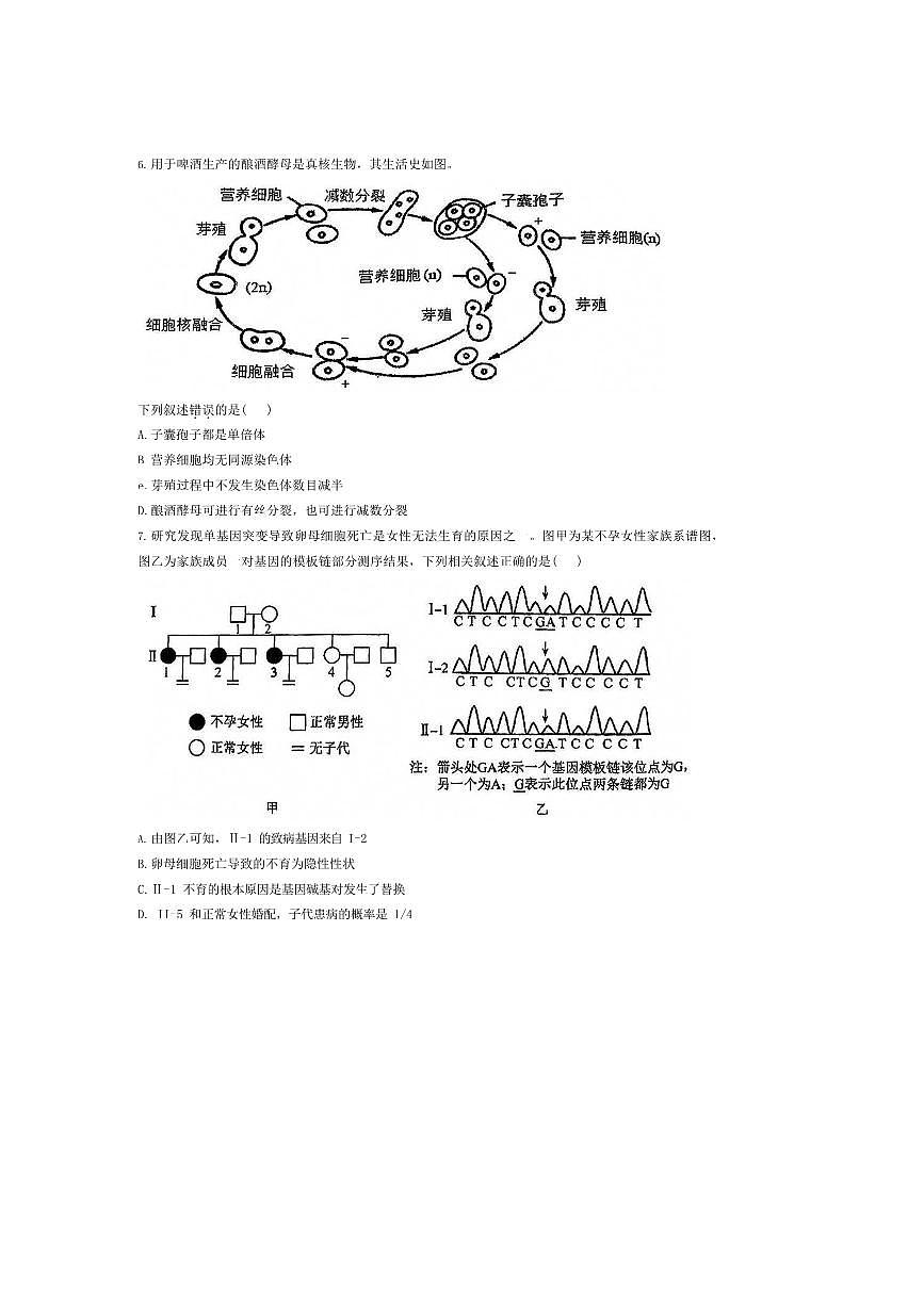 北京市中国人民大学附属中学2025～2026学年高三上开学考试生物试卷(无答案)第3页