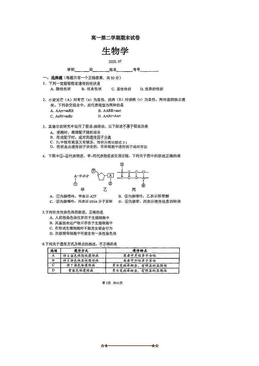 2024～2025学年北京市海淀区清华附中高一下期末生物试卷(含答案)第1页