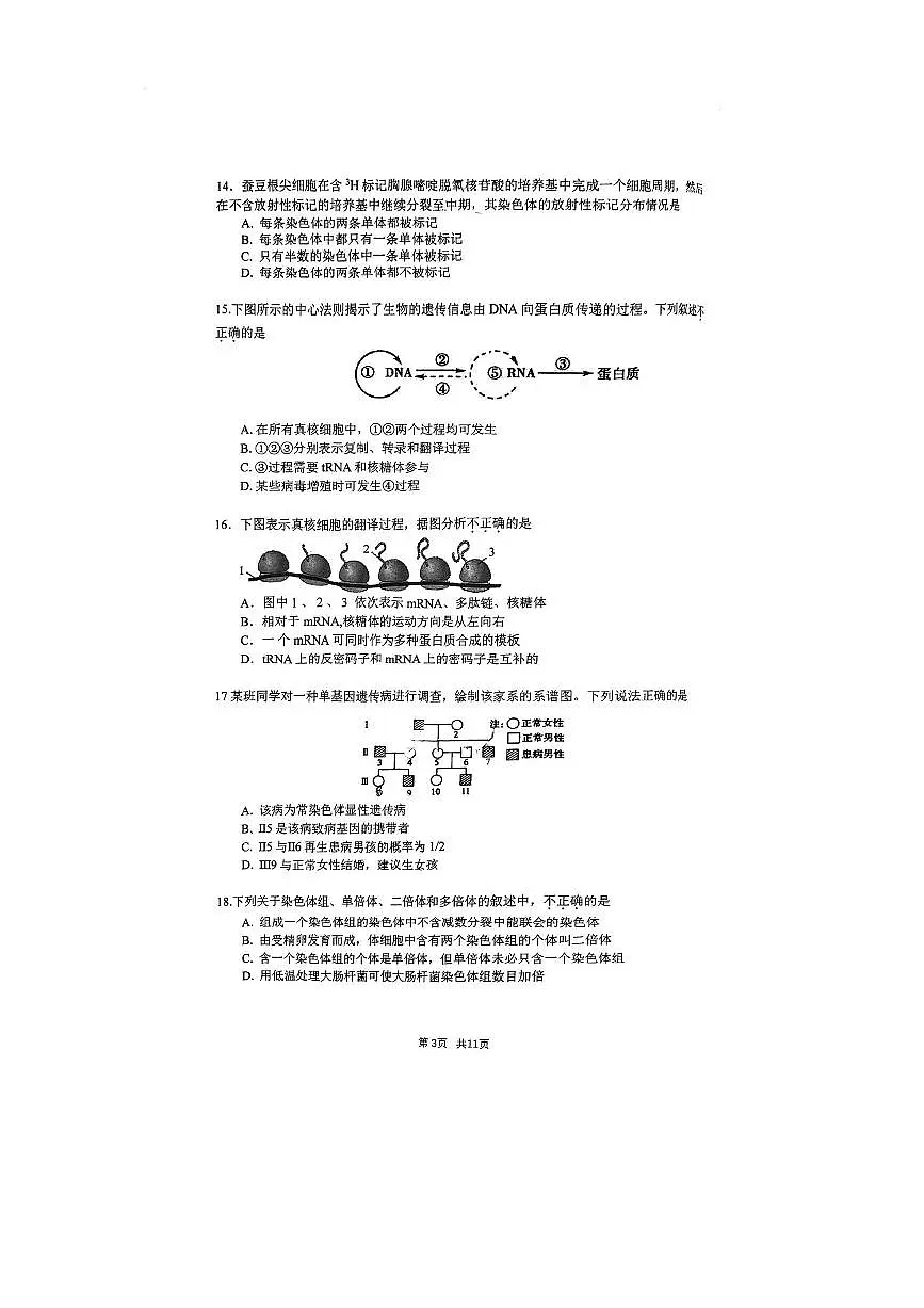 2024～2025学年北京市海淀区清华附中高一下期末生物试卷(含答案)第3页