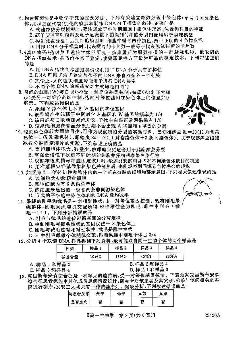 吉林省松原市2024-2025学年高一下学期期中考试生物试卷（含答案）第2页