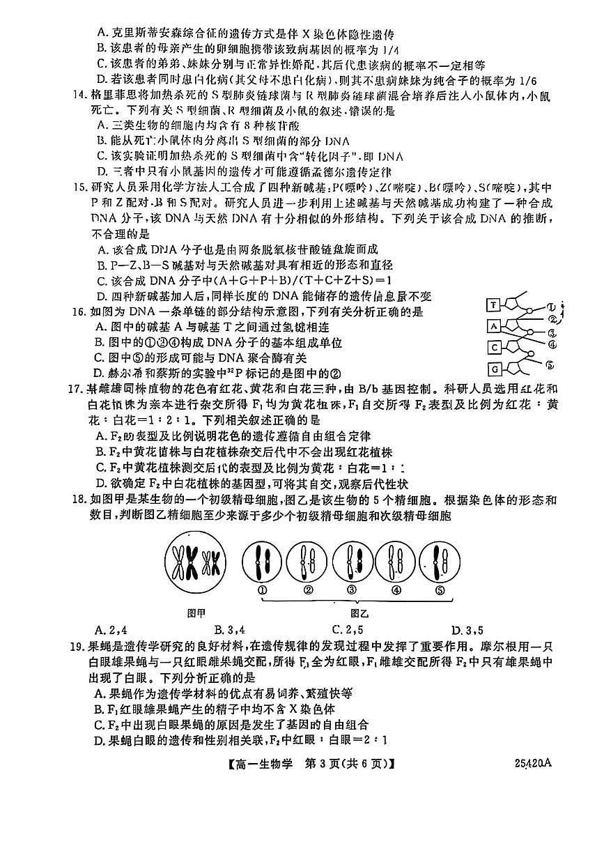 吉林省松原市2024-2025学年高一下学期期中考试生物试卷（含答案）第3页