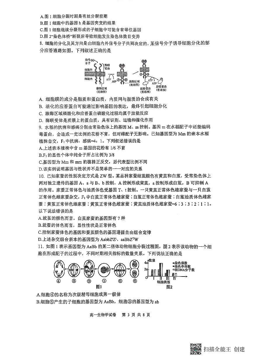 重庆市巴蜀中学校2024-2025学年高一下学期期末考试生物试题第3页