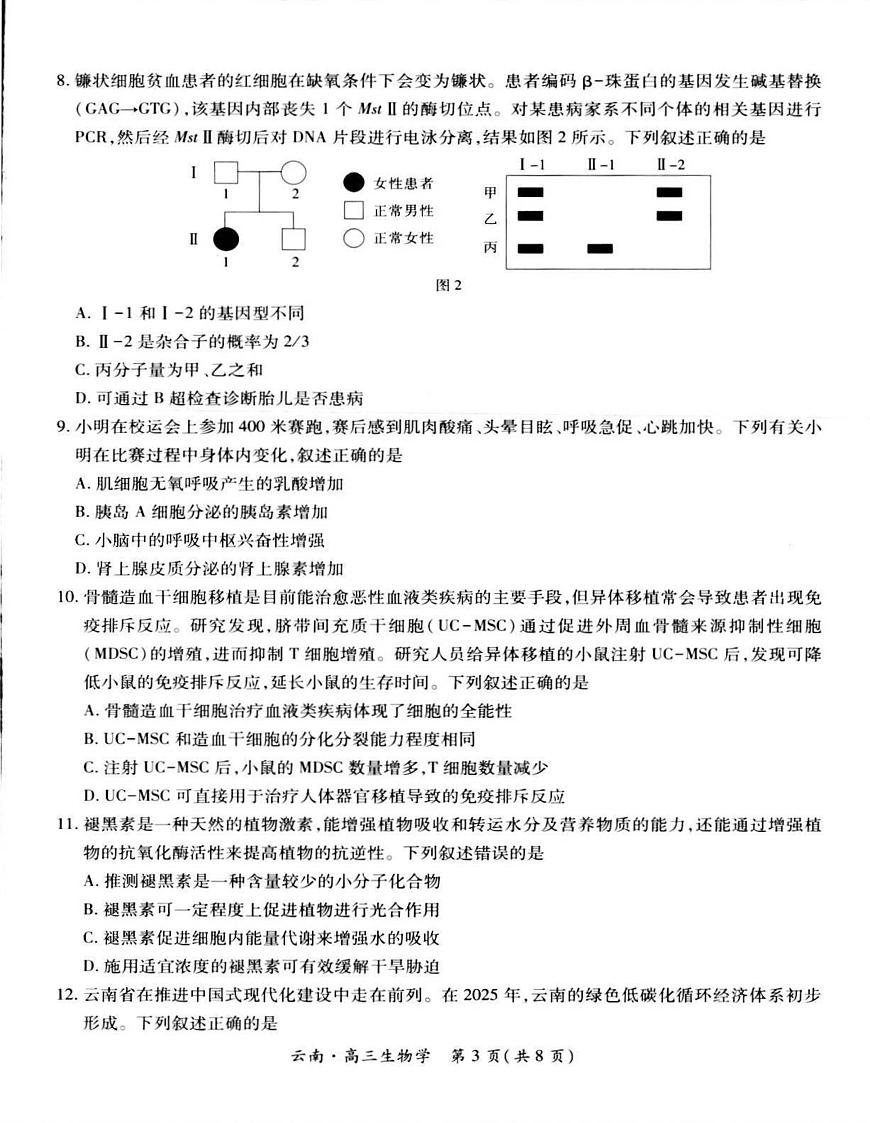 云南民族大学附属高级中学2026届高三上学期开学联考（一）生物试卷（含解析）第3页