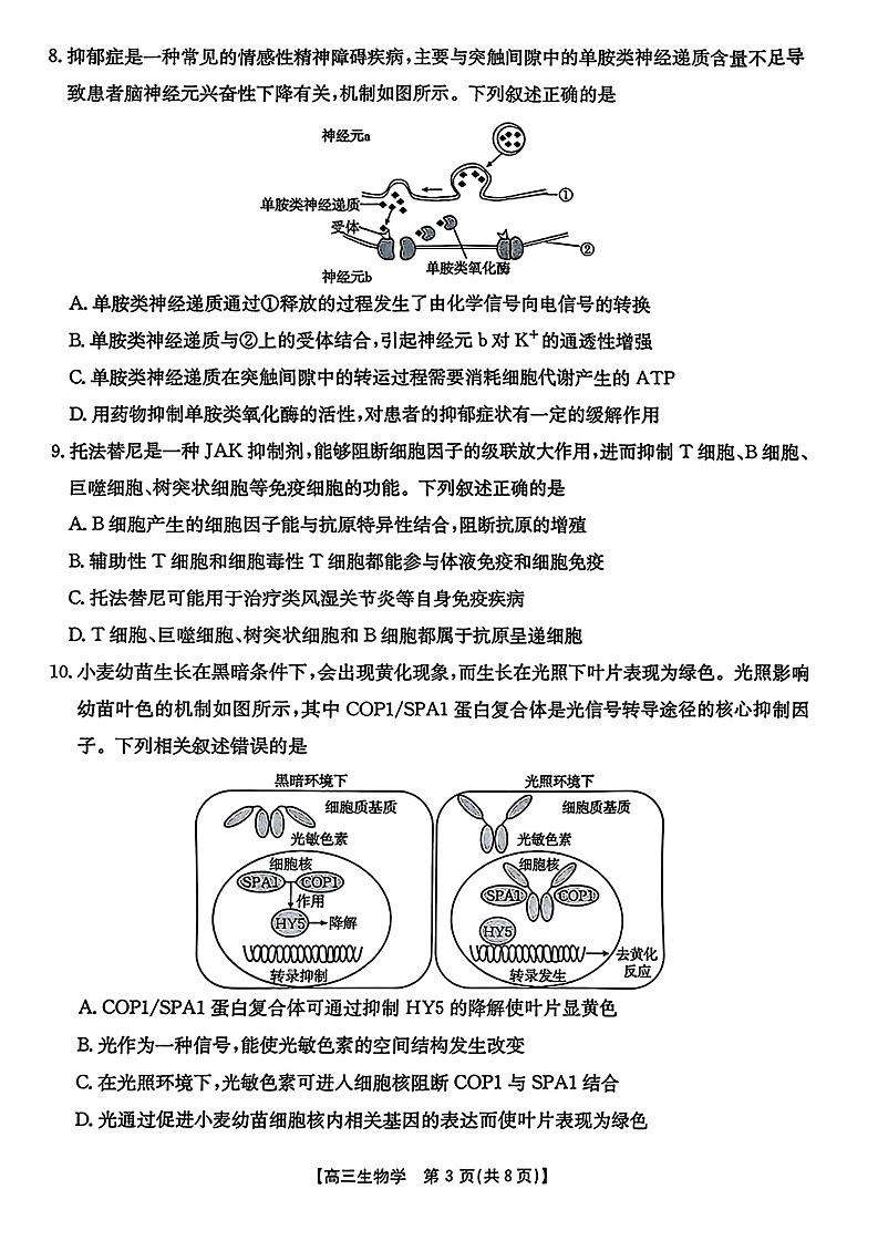 金太阳安徽省皖西南高中振兴发展联盟高三上学期开学考试生物试卷第3页