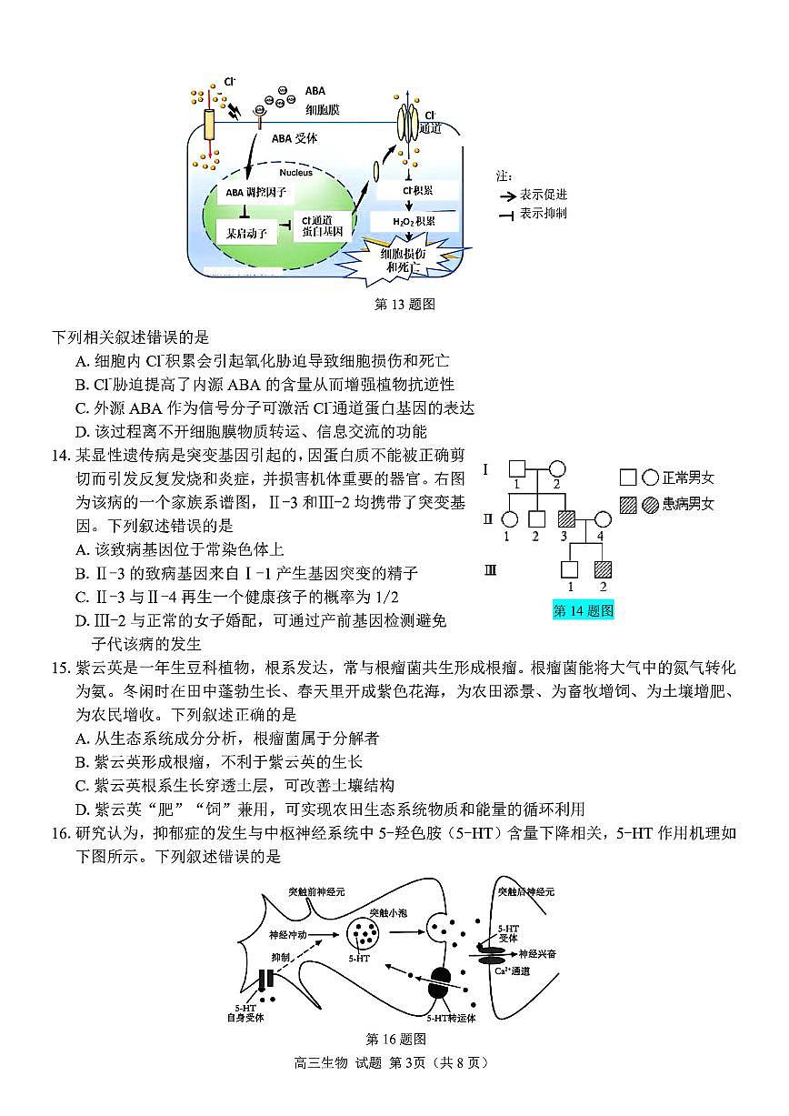 浙江省七彩阳光研究联盟2026届高三上学期8月返校联考-生物试题+答案第3页
